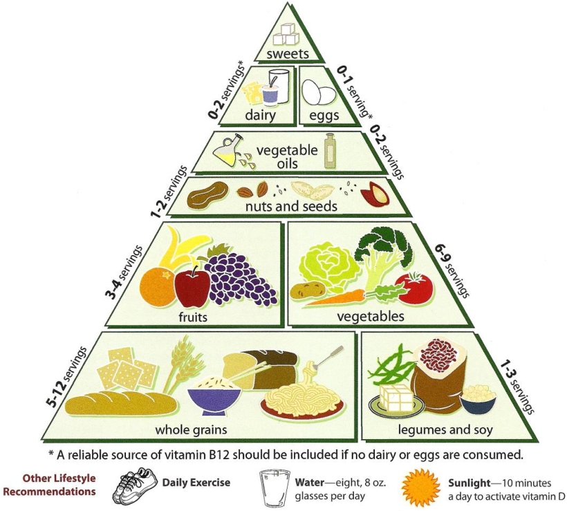 food pyramid